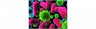 الأمراض المعدية ومكافحة العدوى מחלות זיהומיות ומניעת זיהומים