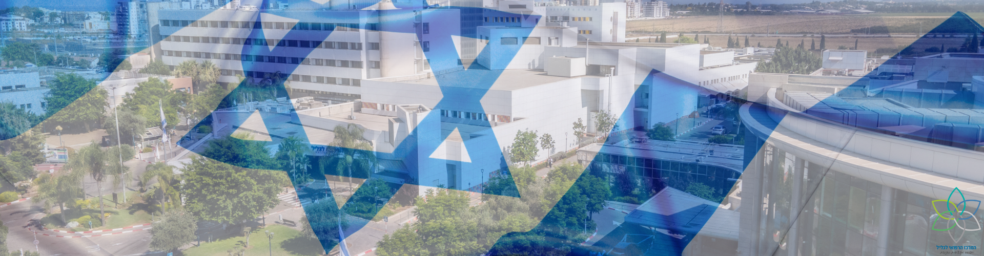 תמונה תמונה